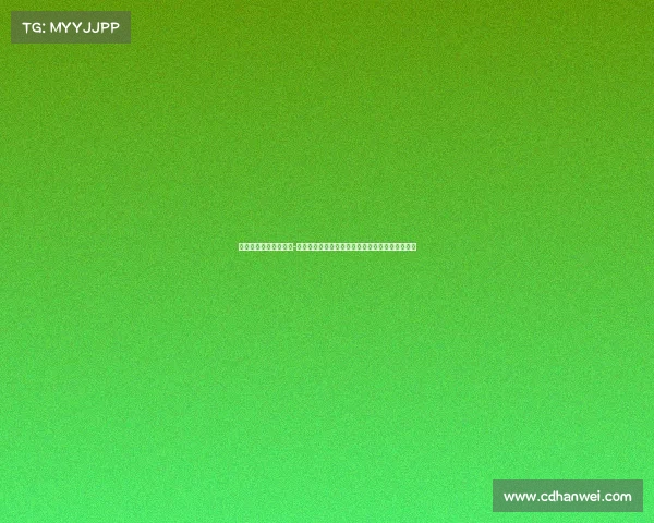 中国电子竞技选手排名-《从电子海洛因到亚运殿堂：中国电竞崛起之路》